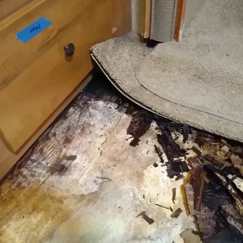 Wood Floor Water Damage in Cascade County, MT